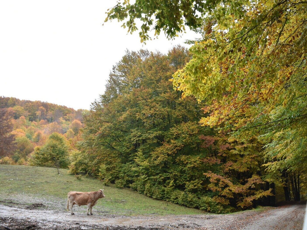 Altopiano di Rascino-Fiamignano必去景点