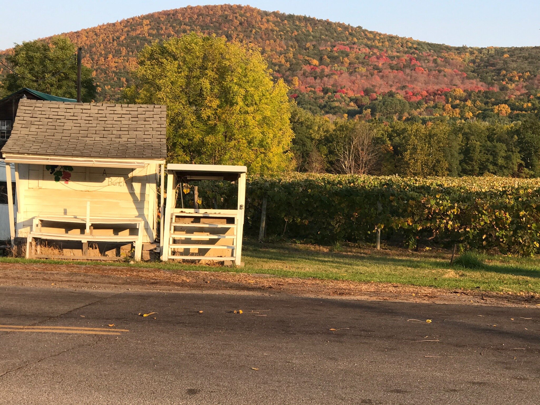 Pleasant Valley Inn-官方