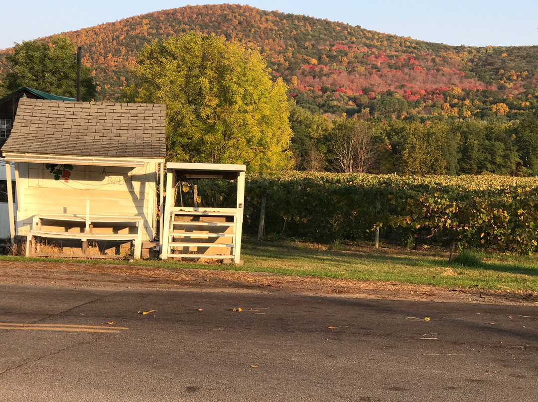 Pleasant Valley Inn主图