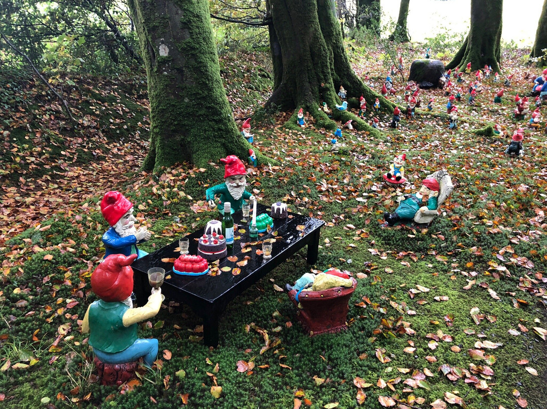 The Gnome Reserve & Wild Flower Garden景点图片