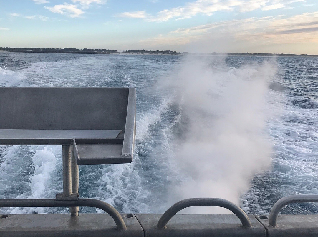 Black Jack Charters-埃斯佩兰斯必去景点