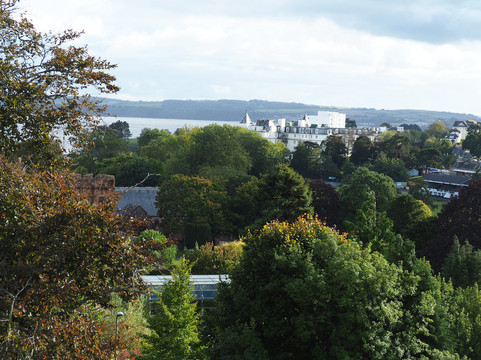 TLH Toorak Hotel主图