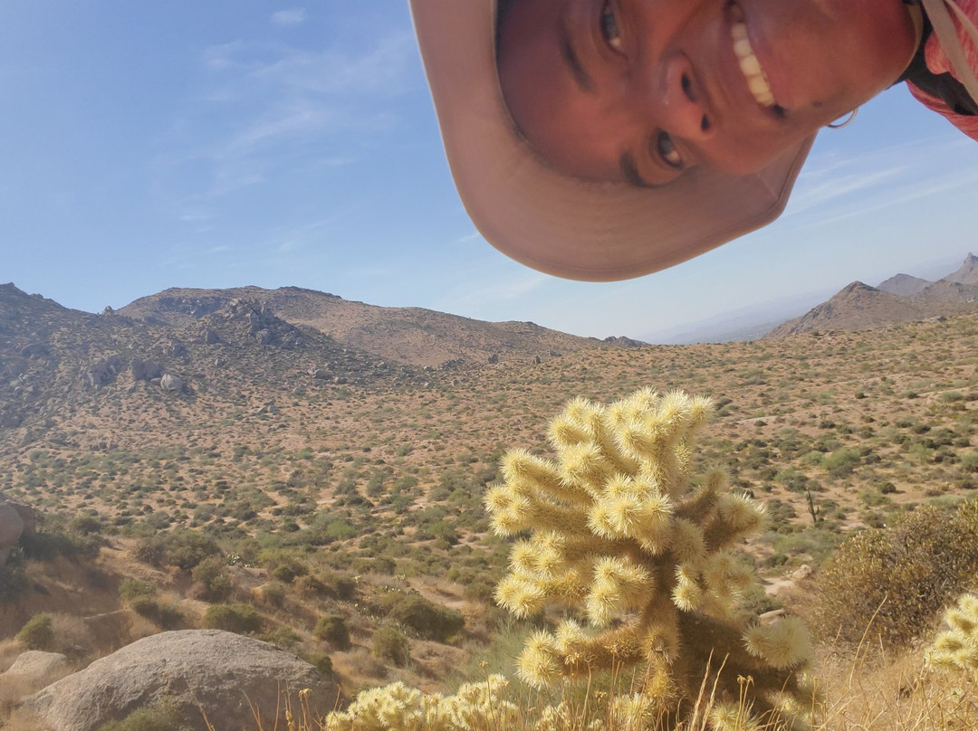 Tom's Thumb Trailhead-斯科茨代尔必去景点