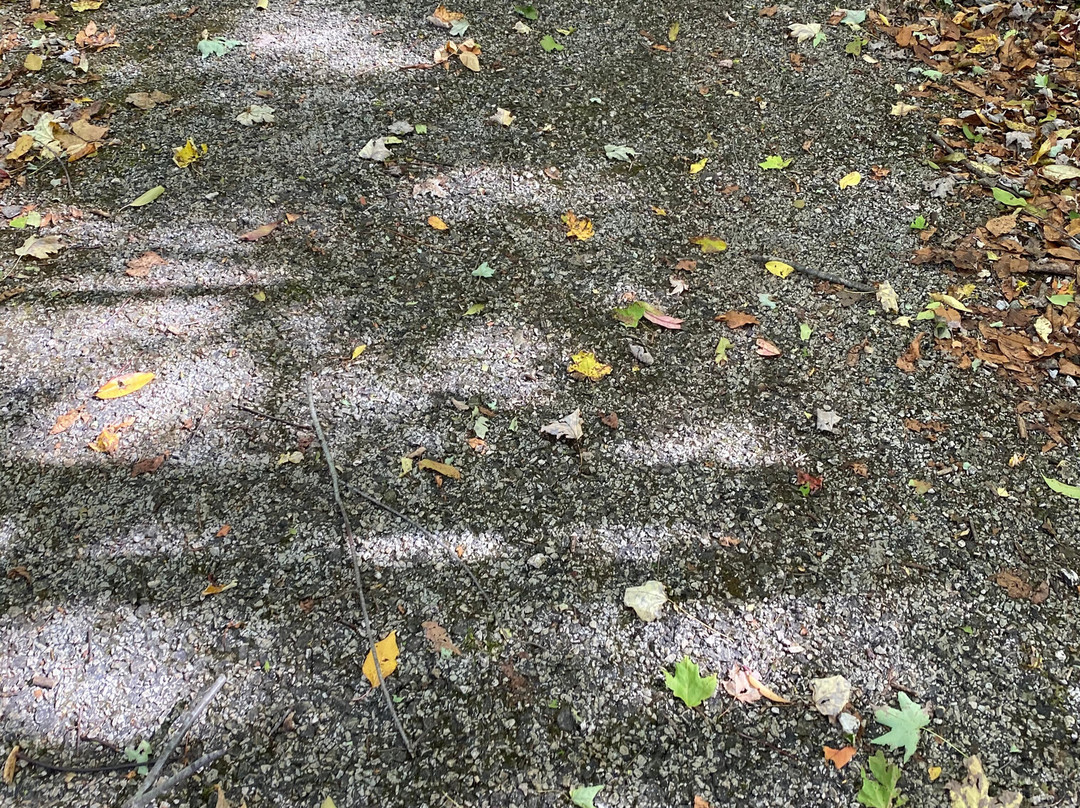 Burton Wetlands Nature Preserve-Burton必去景点