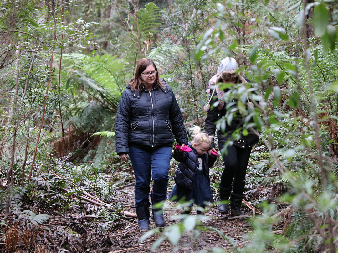 Mushroom Rocks-Erica必去景点