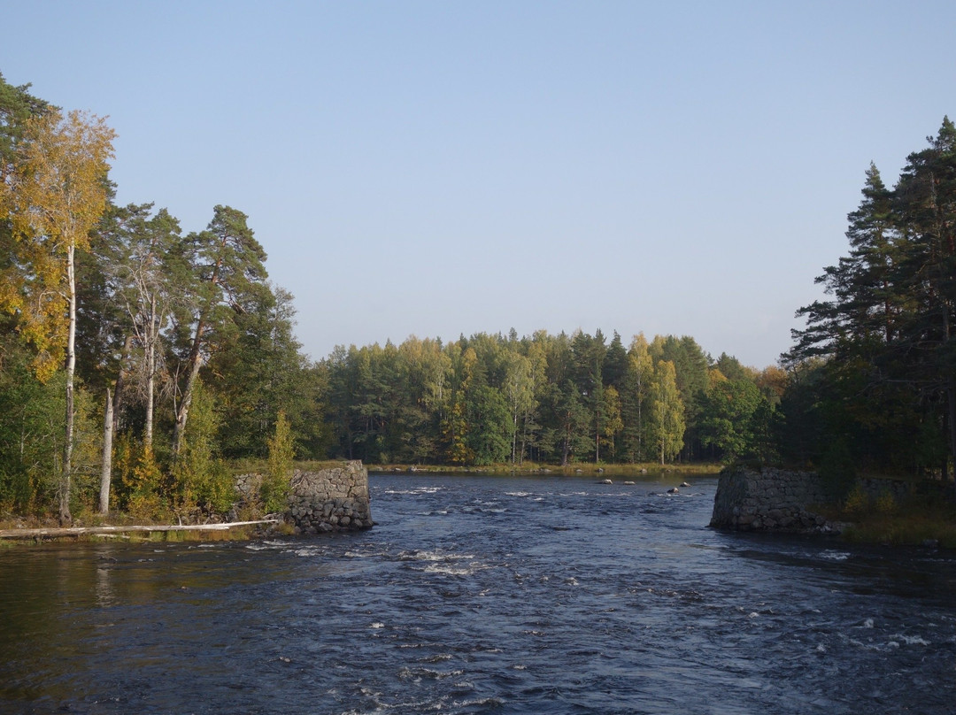 Färnebofjärden Nationalpark景点图片