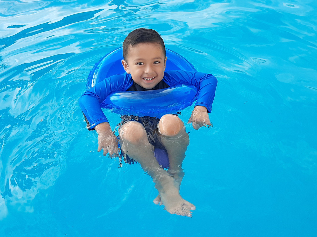 Hotel Plaza Palmas主图