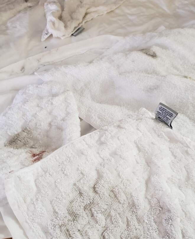 Best Western Acworth Inn主图