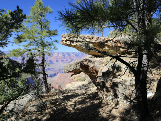 Canyon Country Tours - Grand Canyon Tours-弗拉格斯塔夫必去景点