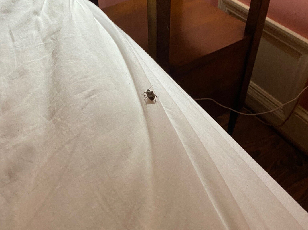 Mountain Magnolia Inn主图