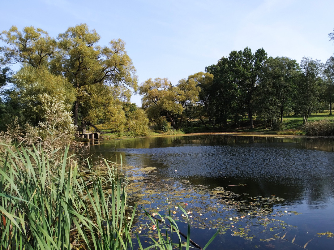 Viazynka branch of Yanka Kupala State Literary Museum景点图片