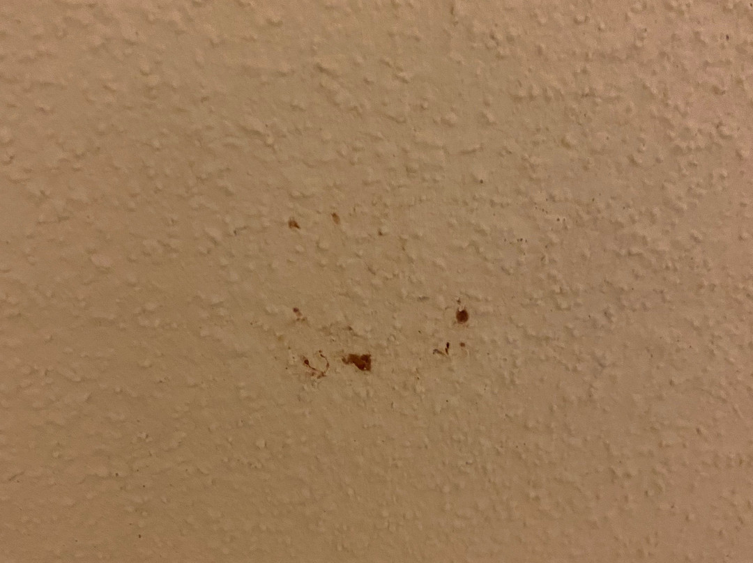 Super 8 by Wyndham Chatsworth/Dalton主图