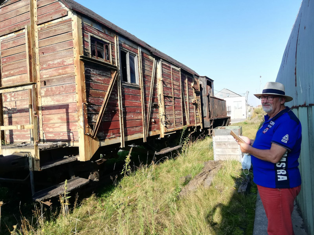 Steam Train Dendermonde-Puurs景点图片