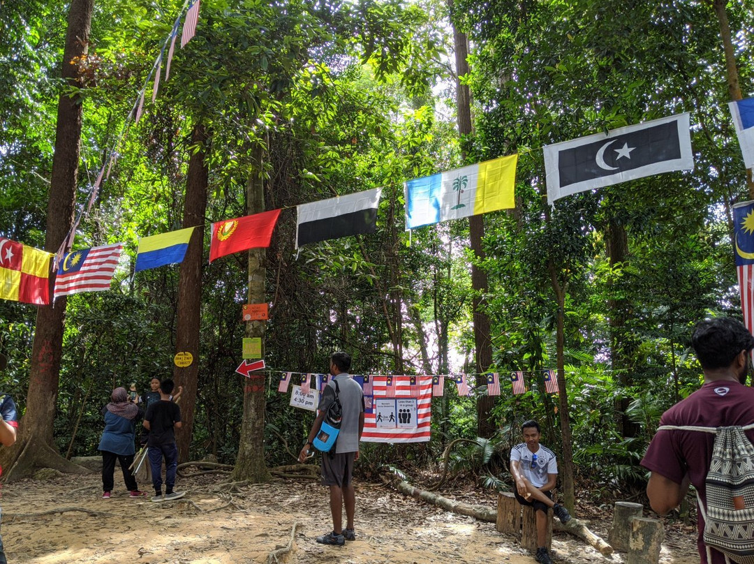 Ayer Hitam Forest Reserve景点图片