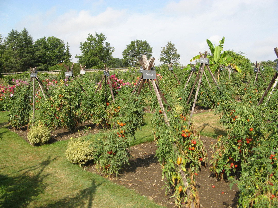 Gardens of the Chateau de la Bourdaisiere景点图片