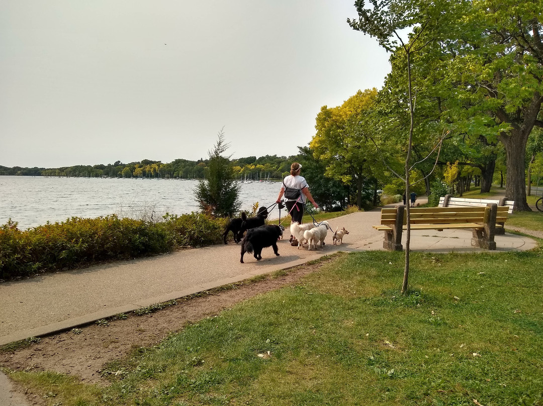 Lake Harriet-明尼阿波利斯必去景点