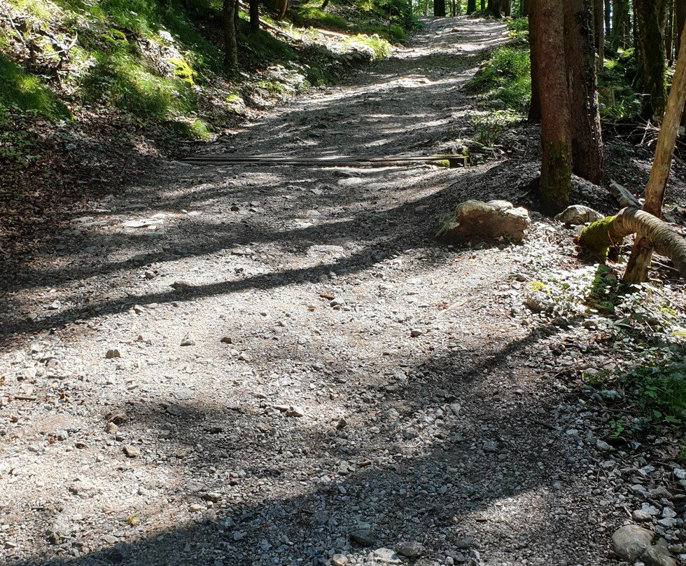Schwarzensee-Strobl必去景点