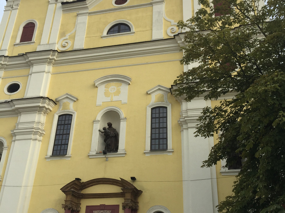 Holy Trinity Catholic Church-Baia Mare必去景点
