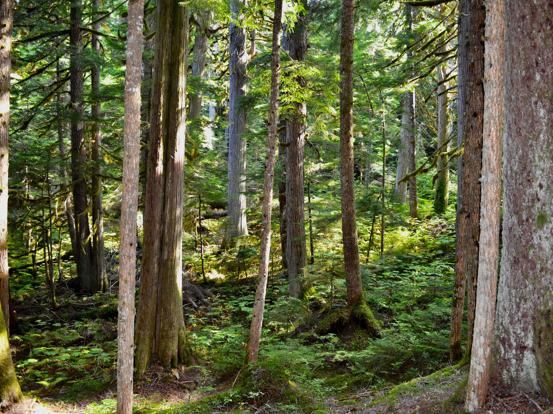 Hai Lake Mount Herman Provincial Park-Terrace必去景点