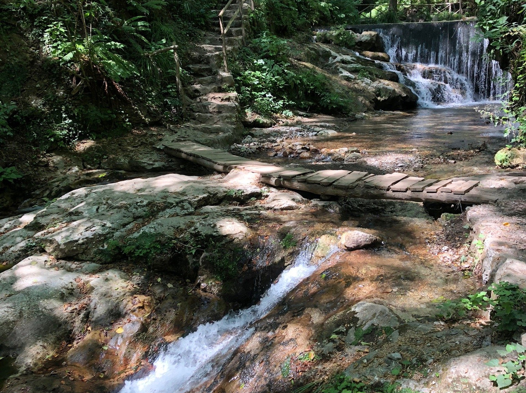 Valle delle Ferriere景点图片