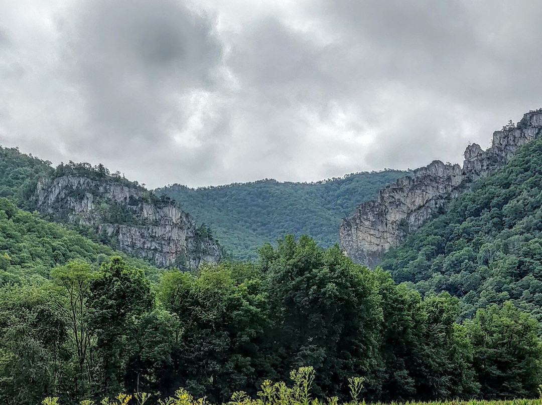 Dolly Sods Wilderness Area-Elkins必去景点