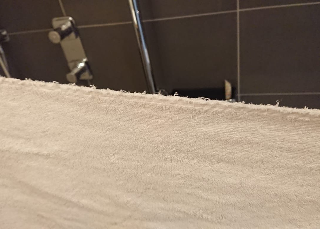 Logis Hôtel de la Nivelle主图