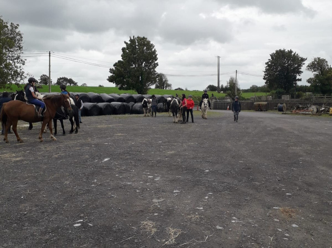 Drumcliffe Equestrian-恩尼斯必去景点