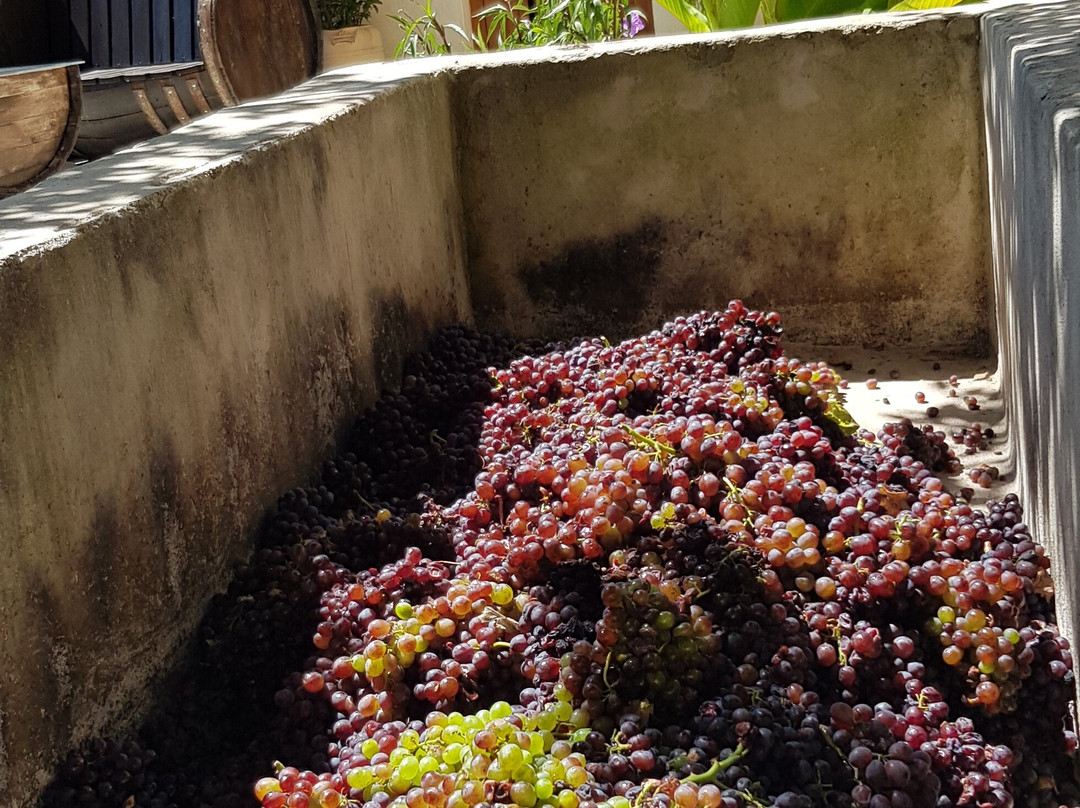 Kazani Zargianakis Distillery-Prinias必去景点