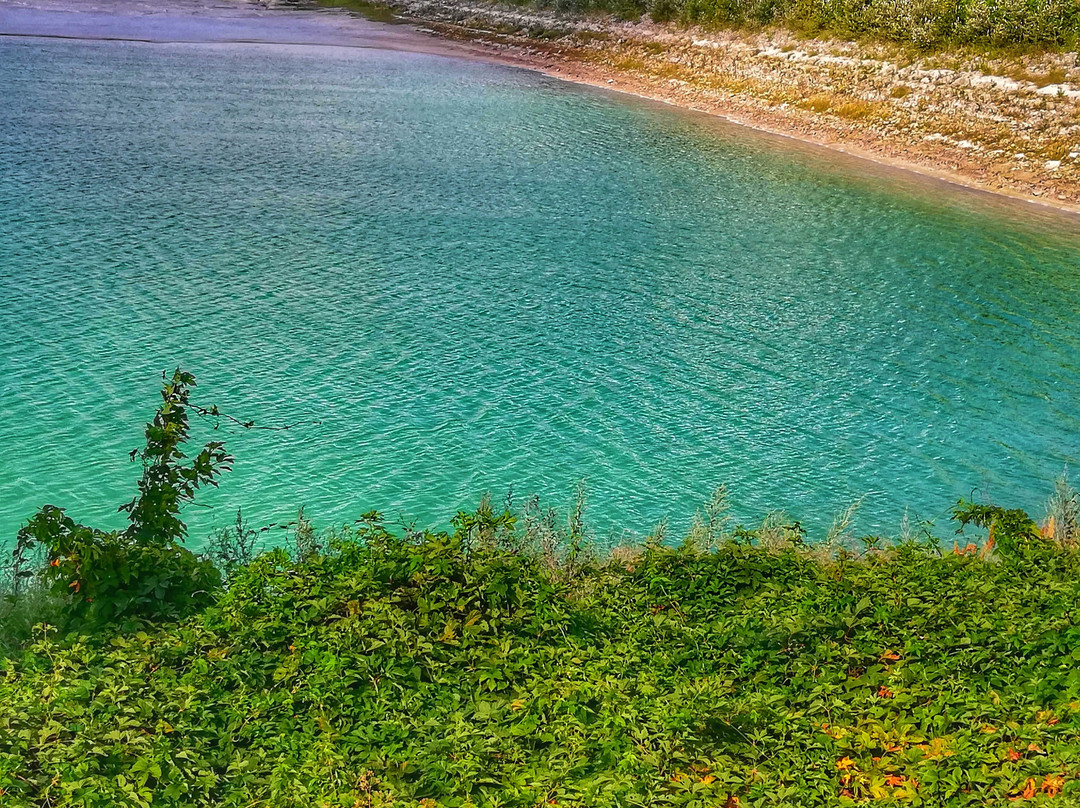 Alkali Lake景点图片