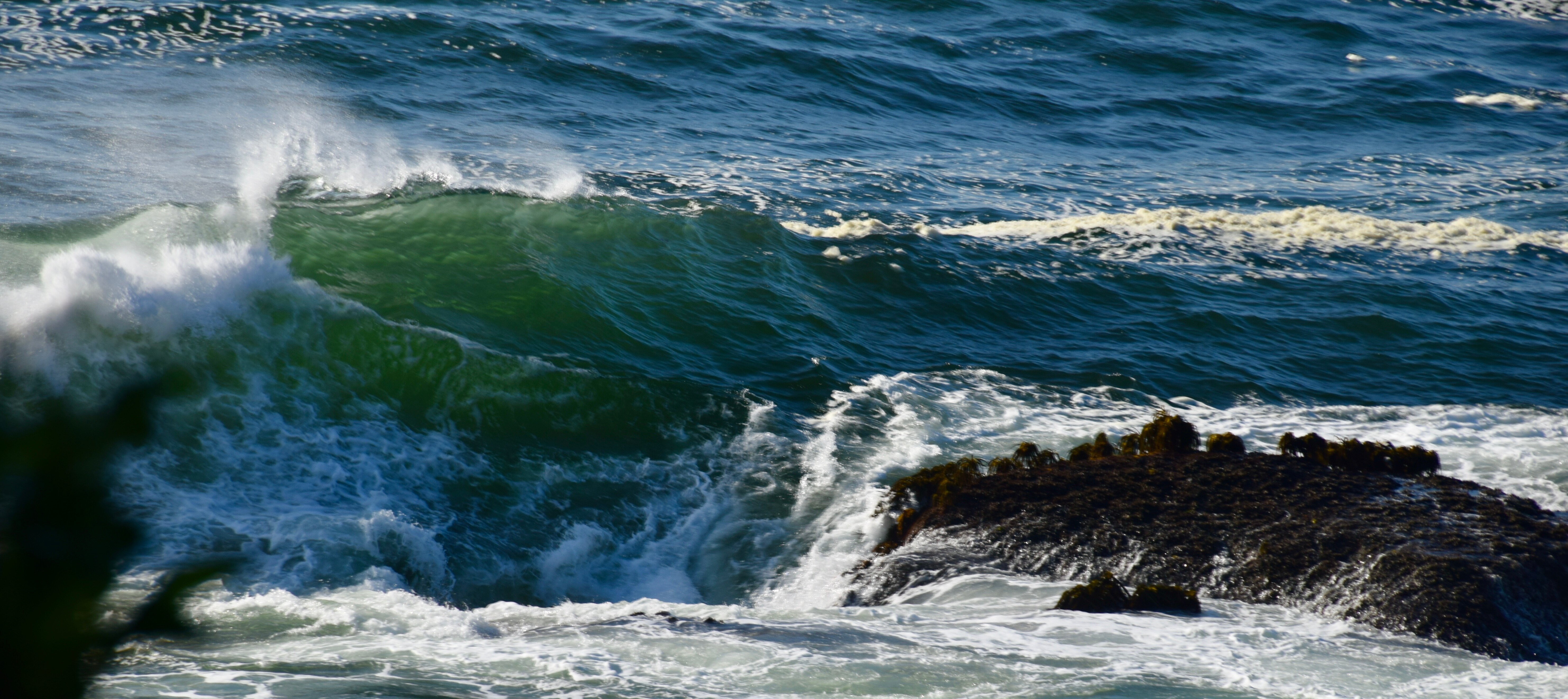 Whale Cove Inn-浴室