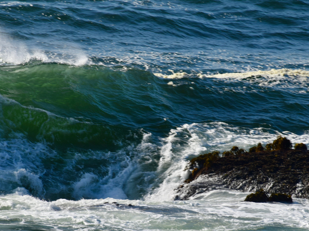 Whale Cove Inn主图