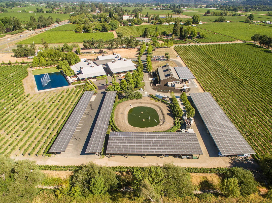 Alpha Omega Winery景点图片