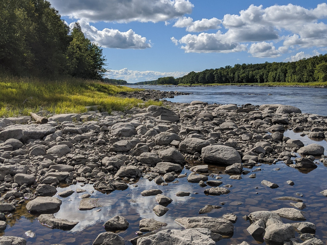 Franz Jevne State Park-Birchdale必去景点