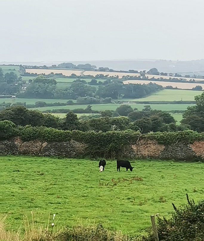 Sunville House主图