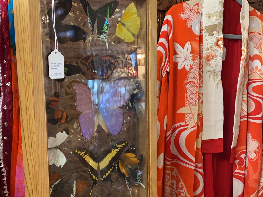 Volo Antique Malls-Volo必去景点