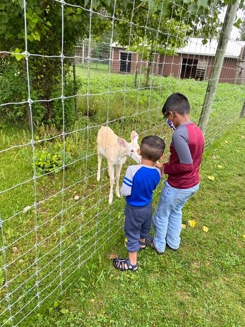 Deer Ranch-圣伊尼亚斯必去景点