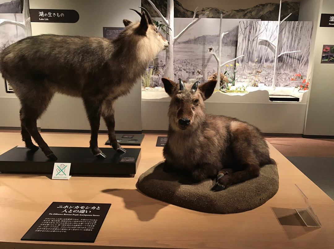 Omachi Mountain Museum景点图片