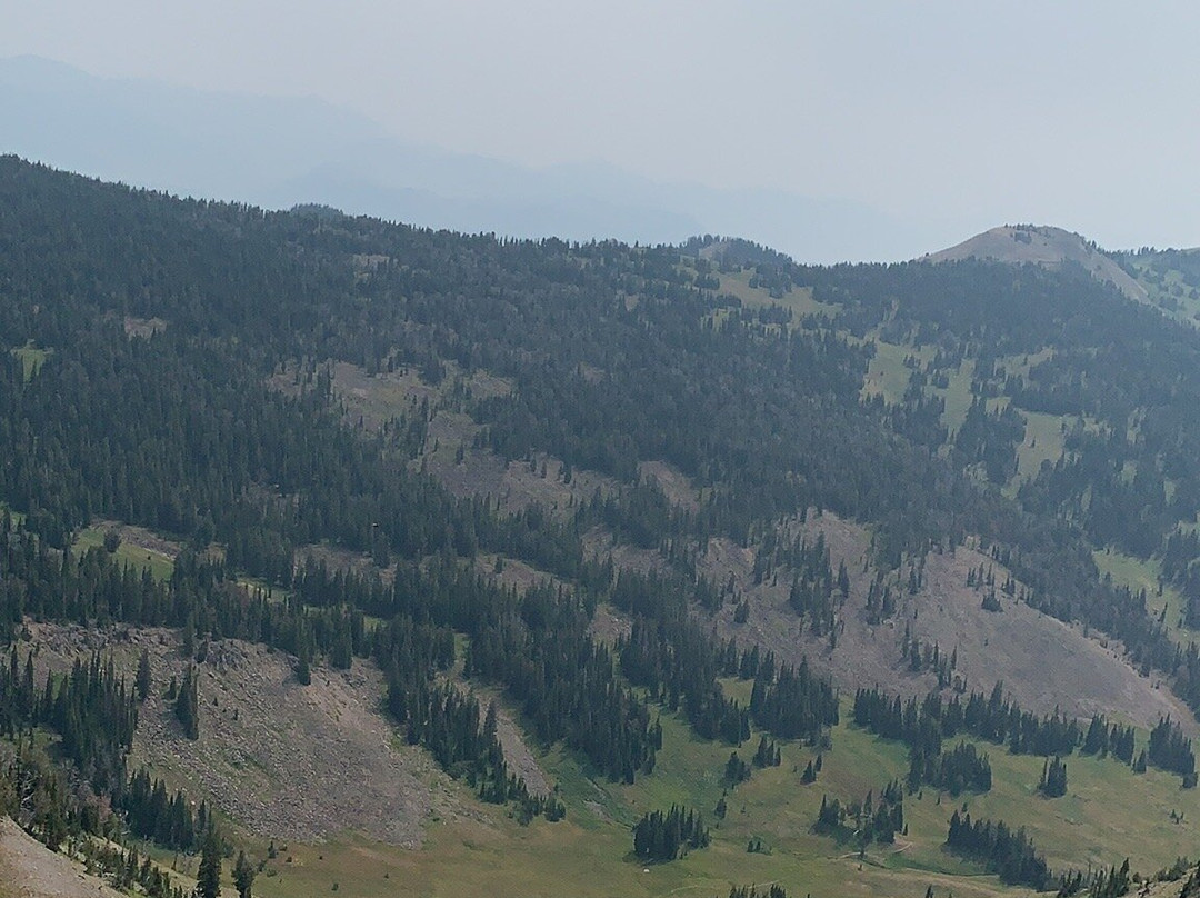 Teton Backcountry Guides景点图片