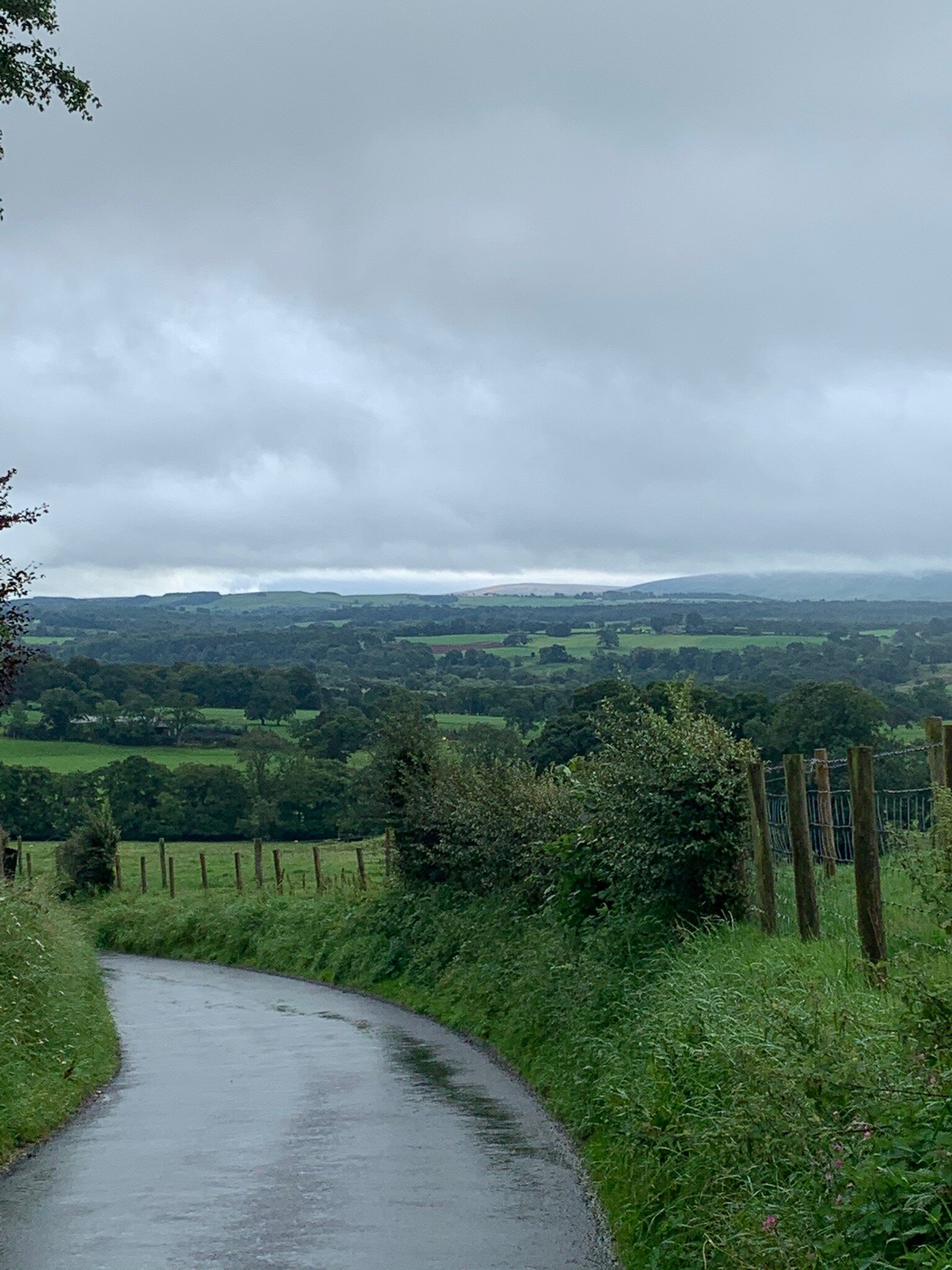 Lanercost Equestrian and Country-官方
