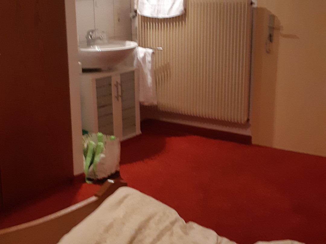 Gasthaus Steinwald主图