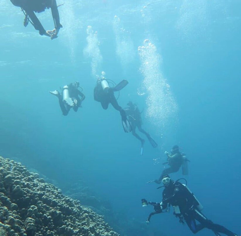 Tropea Diving景点图片