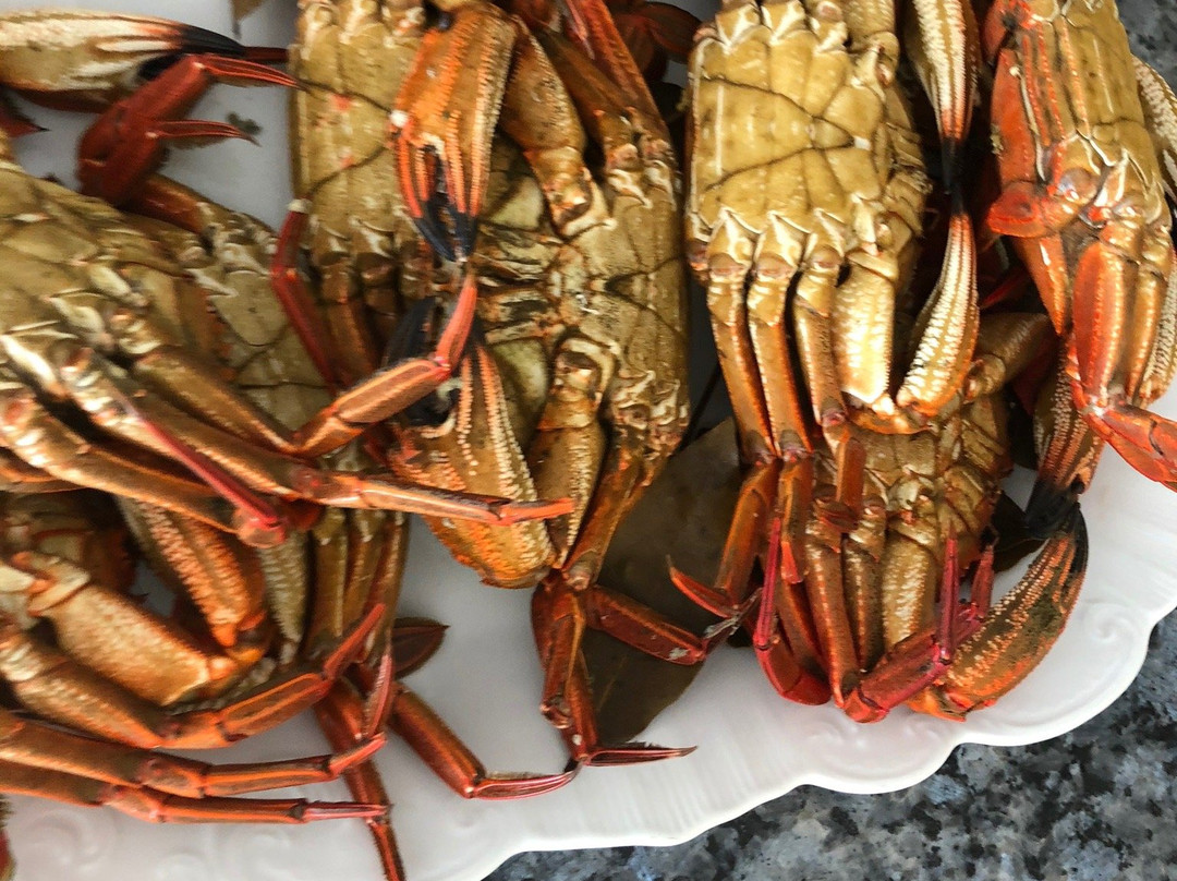 Bluscus Turismo Marinero-比戈必去景点