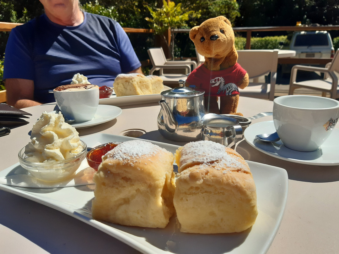 Paluma Rainforest Inn主图