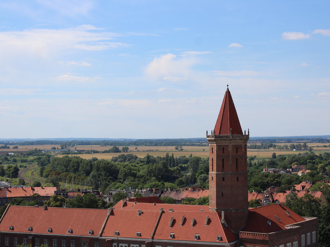 Koscioł Marii Panny w Legnicy景点图片