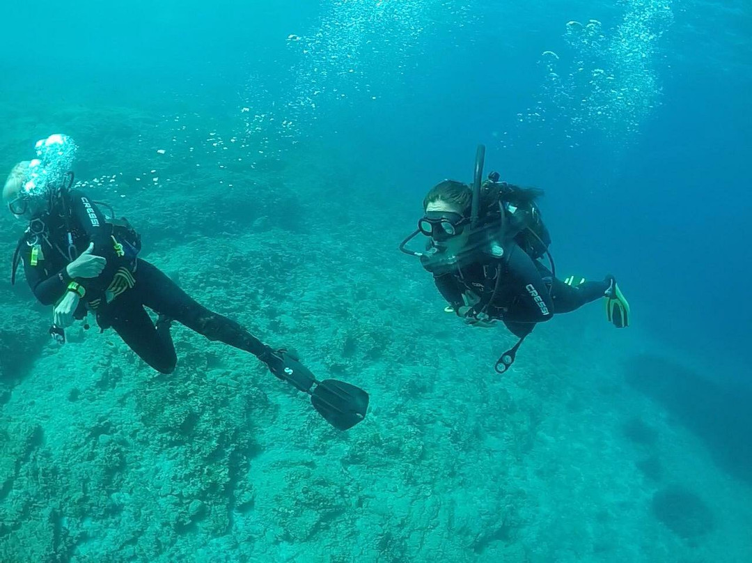 Blue Island Divers-Antiparos必去景点