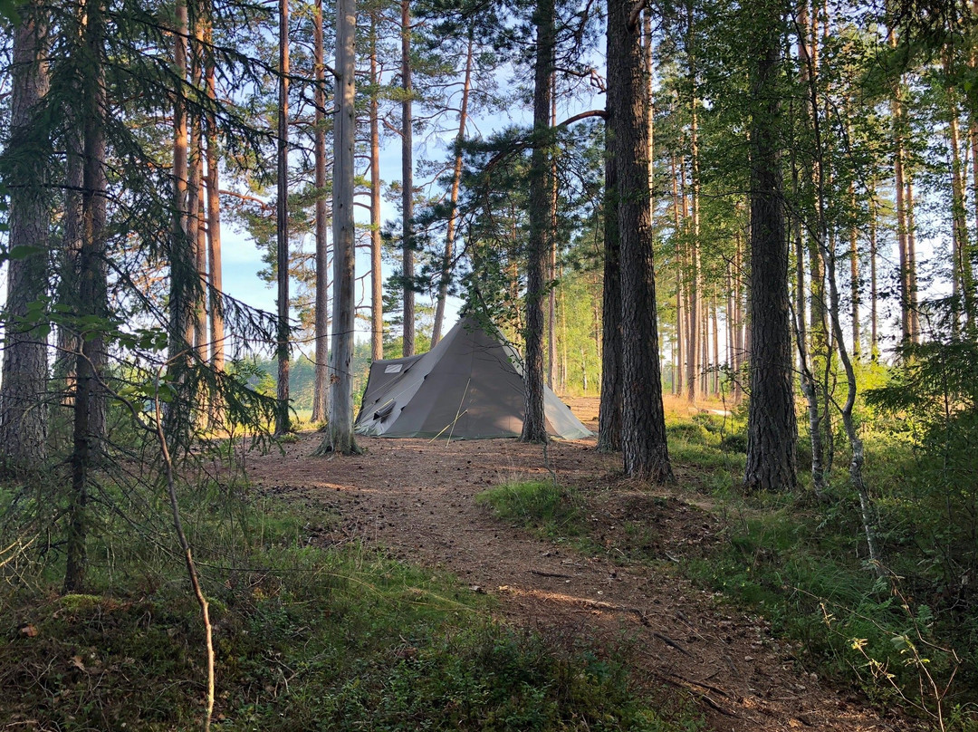 Vildmark i Värmland-Torsby必去景点