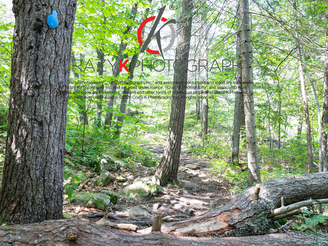 French River Provincial Park-Northeastern Ontario必去景点