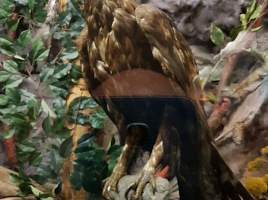 Museo Mineralogico e Naturalistico di Bormio-博尔米奥必去景点