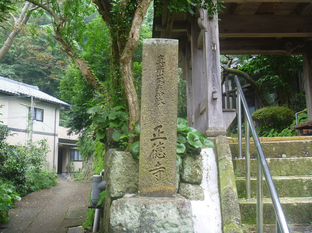 Shotoku-ji Temple景点图片
