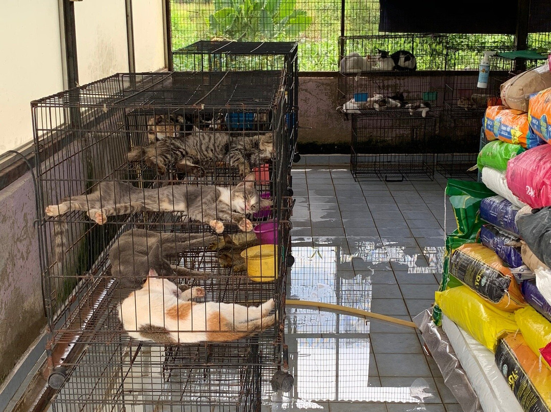 Snake And Reptile Farm景点图片